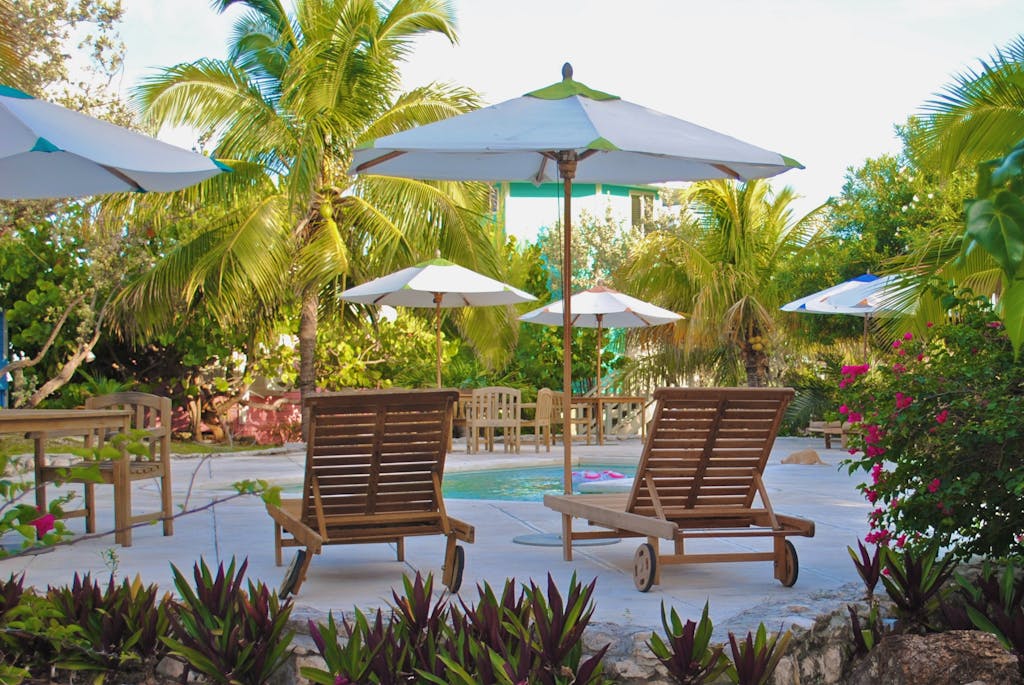 A serene poolside setting with chairs, umbrellas, and lush palm trees, perfect for a tropical getaway.